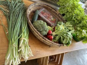 かごに盛られた新鮮な野菜と薬草、自然光が差し込むテーブルの上