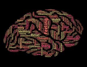 脳の形に配置された単語群。「Feeling」「Memory」「Belief」など感情や記憶に関する言葉が散りばめられているビジュアル。