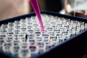 研究用プレートに液体を注ぐ実験の様子。